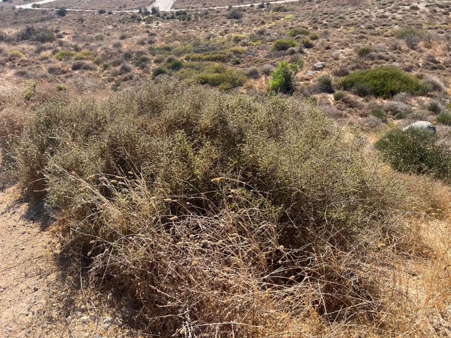 Commercial Property for Sale in Steenbergs Cove Western Cape